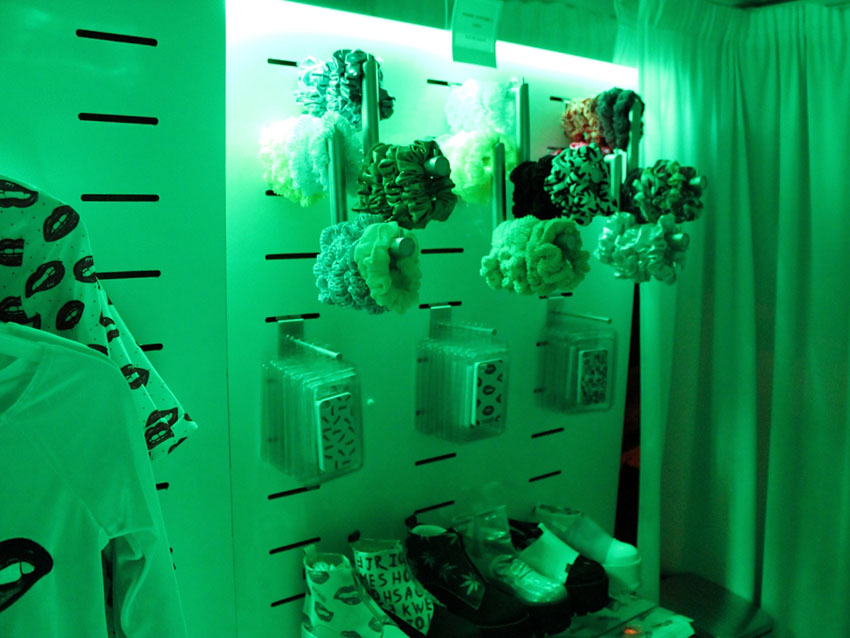 Green LED Strip lighting used in Hotmess Tour bus